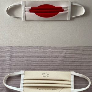 Hinomaru with Pleats, 9.8 x 38.5 cm, acrylic, modeling paste, synthetic varnish on canvas, painted nails